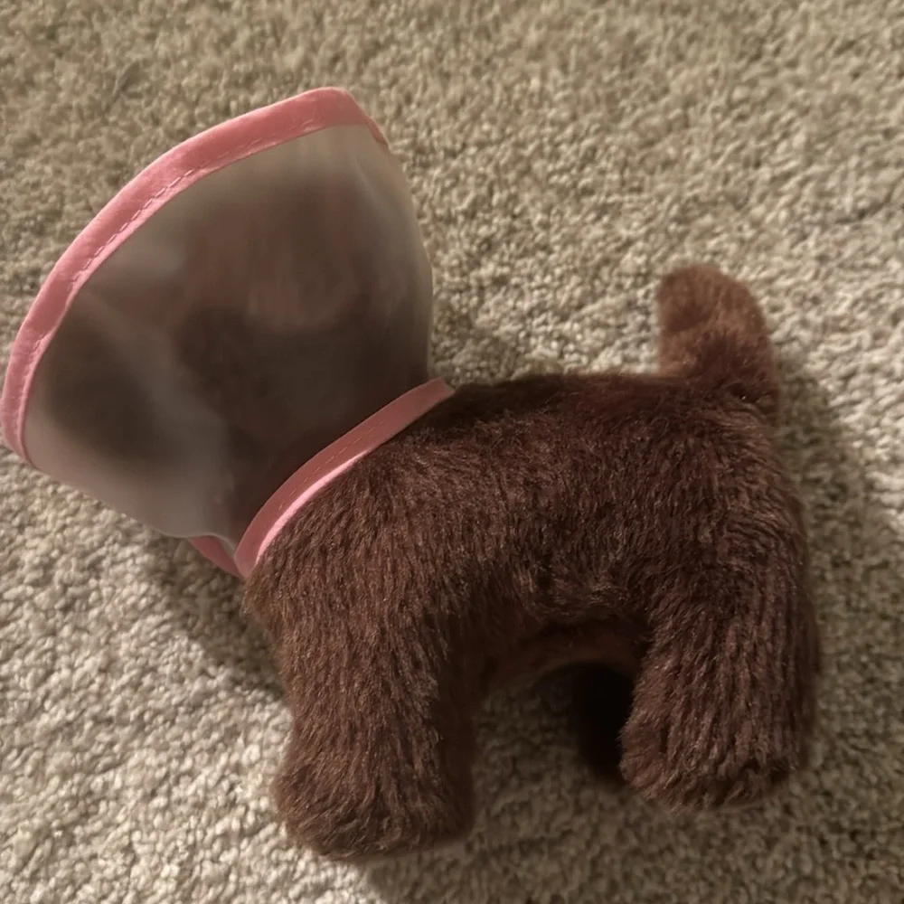 American Girl Dog and Accessories